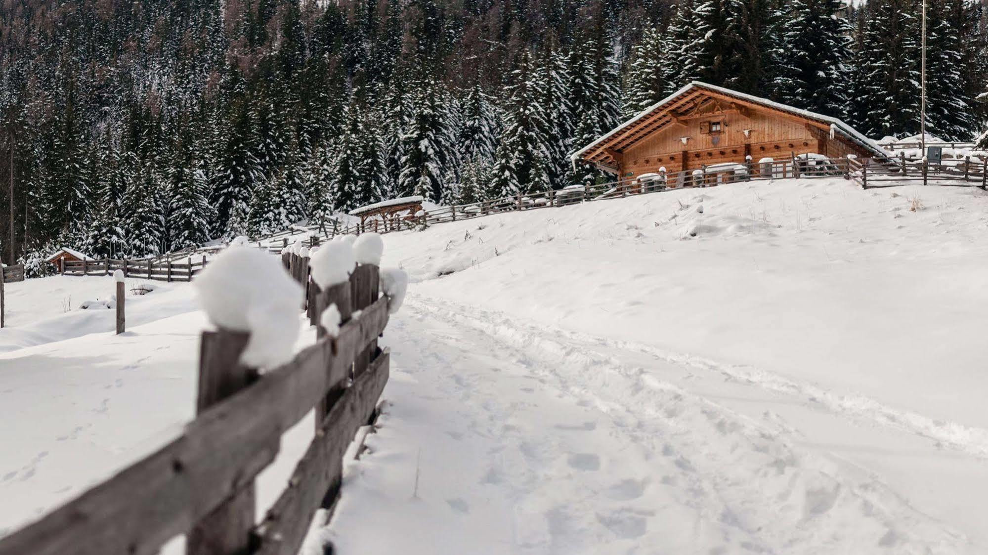 La Casies Mountain Hotel Santa Maddalena Zewnętrze zdjęcie